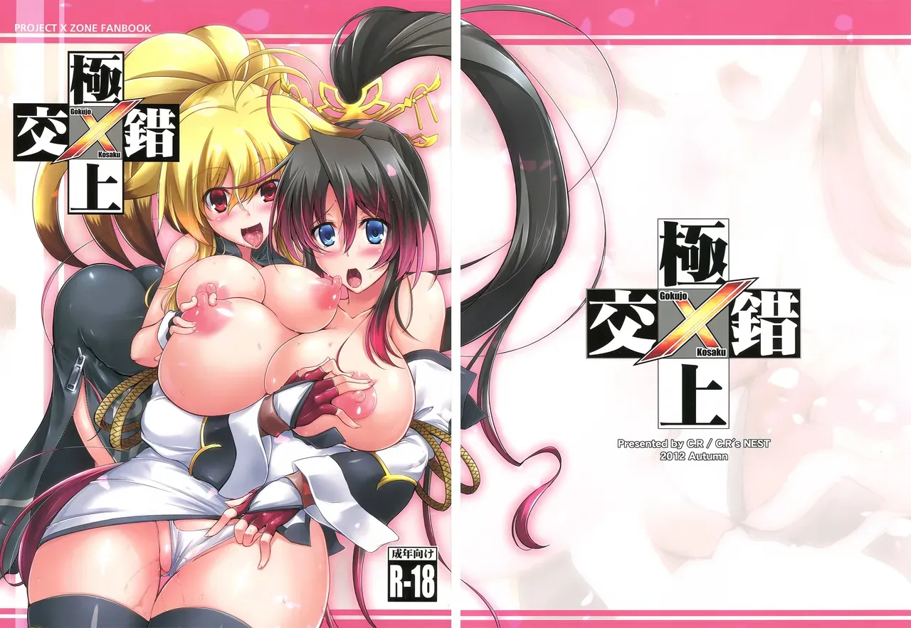 (Futaket 8.5) [C.R's NEST (C.R)] Gokujou Kousaku (PROJECT X ZONE) [English] [Decensored] - Page 1