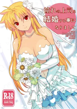 (C93) [Studio Himawari (Himukai Kyousuke)] Akogare no Joushi to Kekkon Suru Koto ni Narimashite (Mahou Shoujo Lyrical Nanoha) [English] {darknight} cover