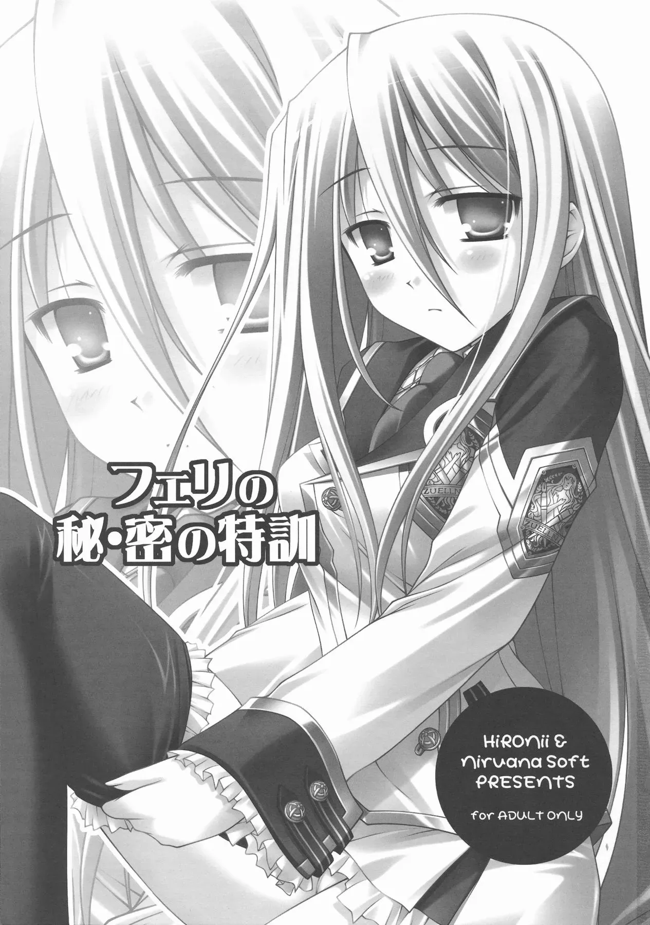 (COMIC1☆3) [Nirvana Soft (HIRONII)] Felli no Hi-Mitsu Tokkun (Chrome Shelled Regios) [English] - Page 3