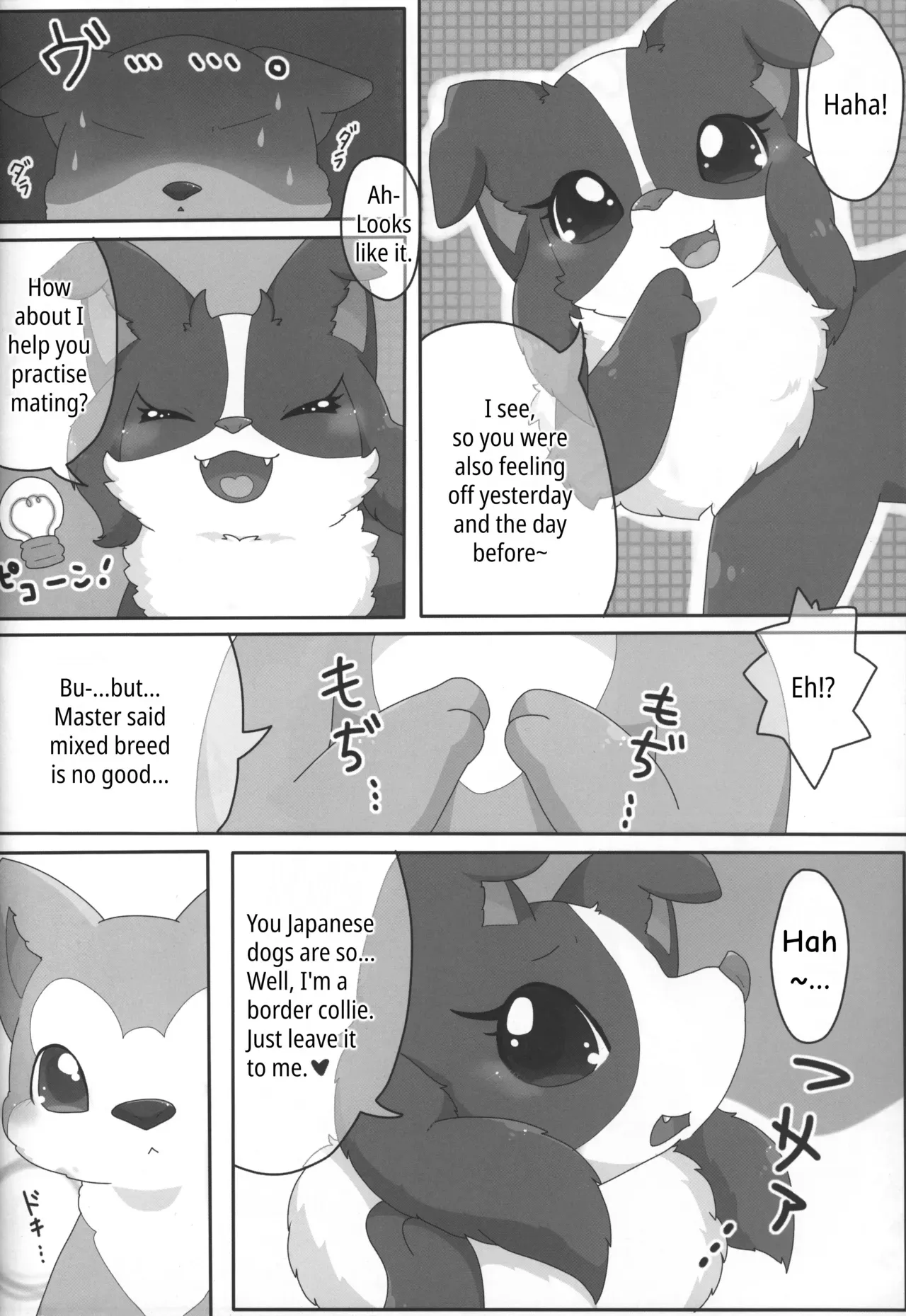 (Kansai! Kemoket 3) [PPOINO! (Kairi)] Bodako-san no Himitsu no Training | Bordacol-san's Secret Training (Boda kon) [English] - Page 2