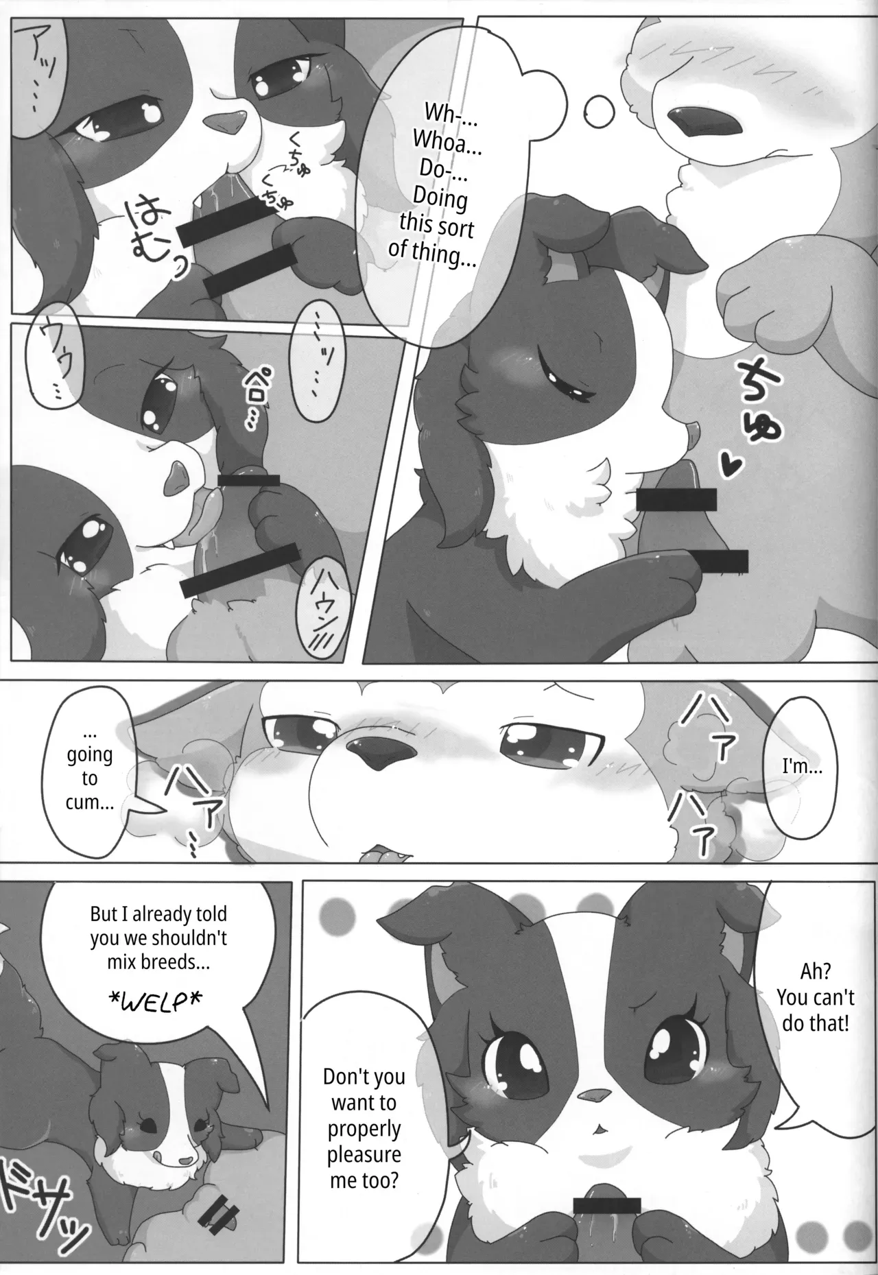 (Kansai! Kemoket 3) [PPOINO! (Kairi)] Bodako-san no Himitsu no Training | Bordacol-san's Secret Training (Boda kon) [English] - Page 3