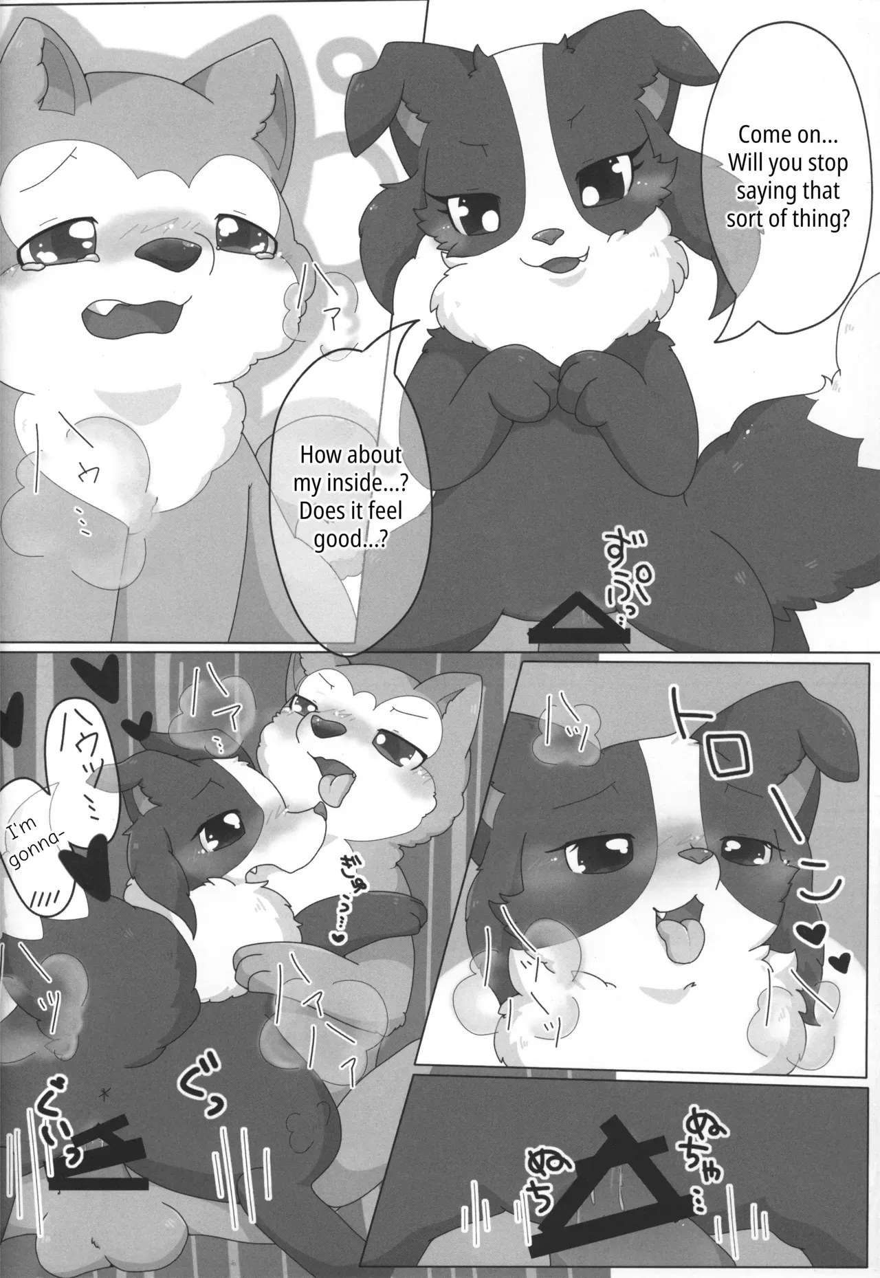 (Kansai! Kemoket 3) [PPOINO! (Kairi)] Bodako-san no Himitsu no Training | Bordacol-san's Secret Training (Boda kon) [English] - Page 4