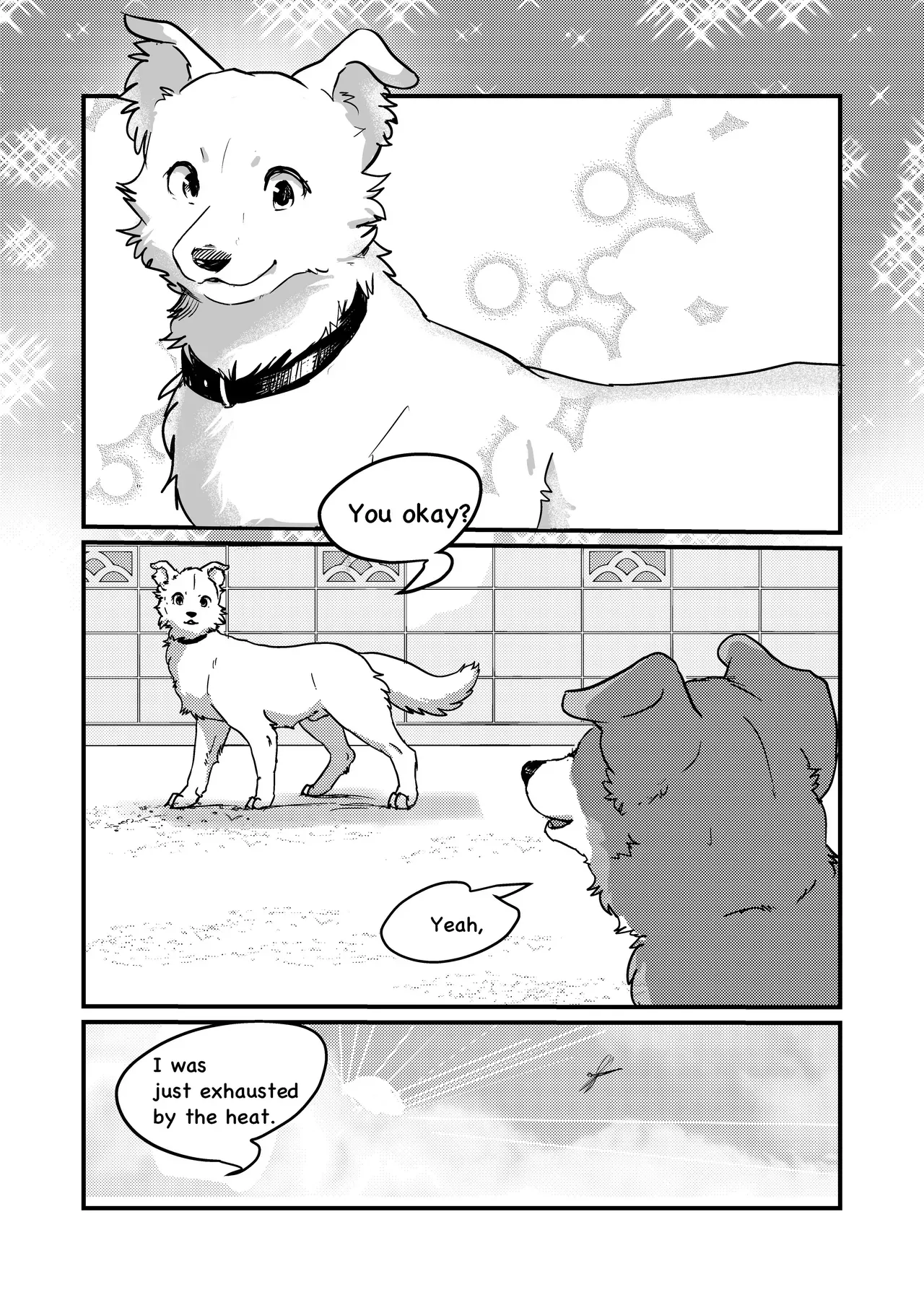 [Kon Juuichibai (Momou)] I've Turned Into a Dog, So I Play With Dogs, Right? [English] [Digital] - Page 4