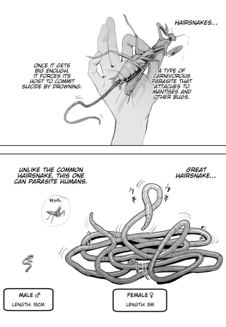 [Velzhe] Oohariganemushi No Seitai | The Great Hairsnake [English] [Kinsei Translations] cover