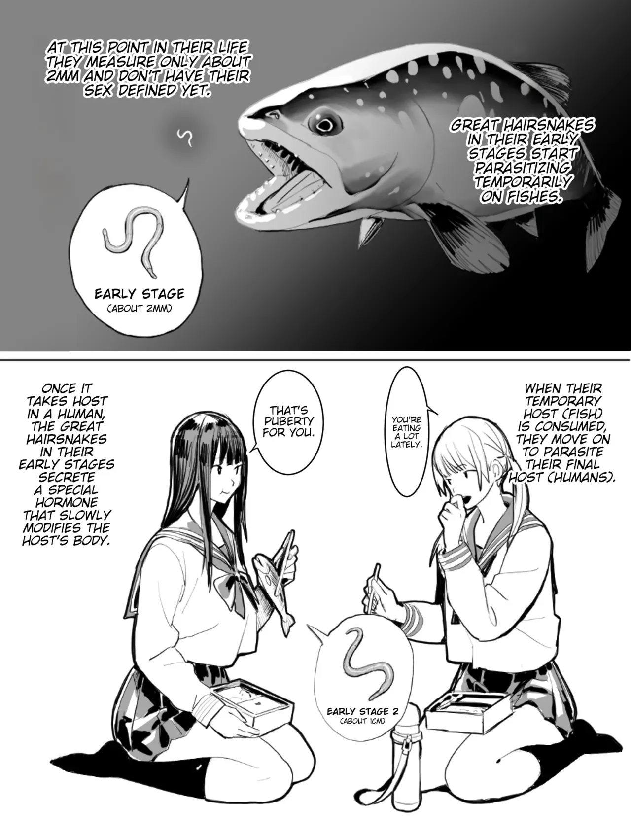 [Velzhe] Oohariganemushi No Seitai | The Great Hairsnake [English] [Kinsei Translations] - Page 2