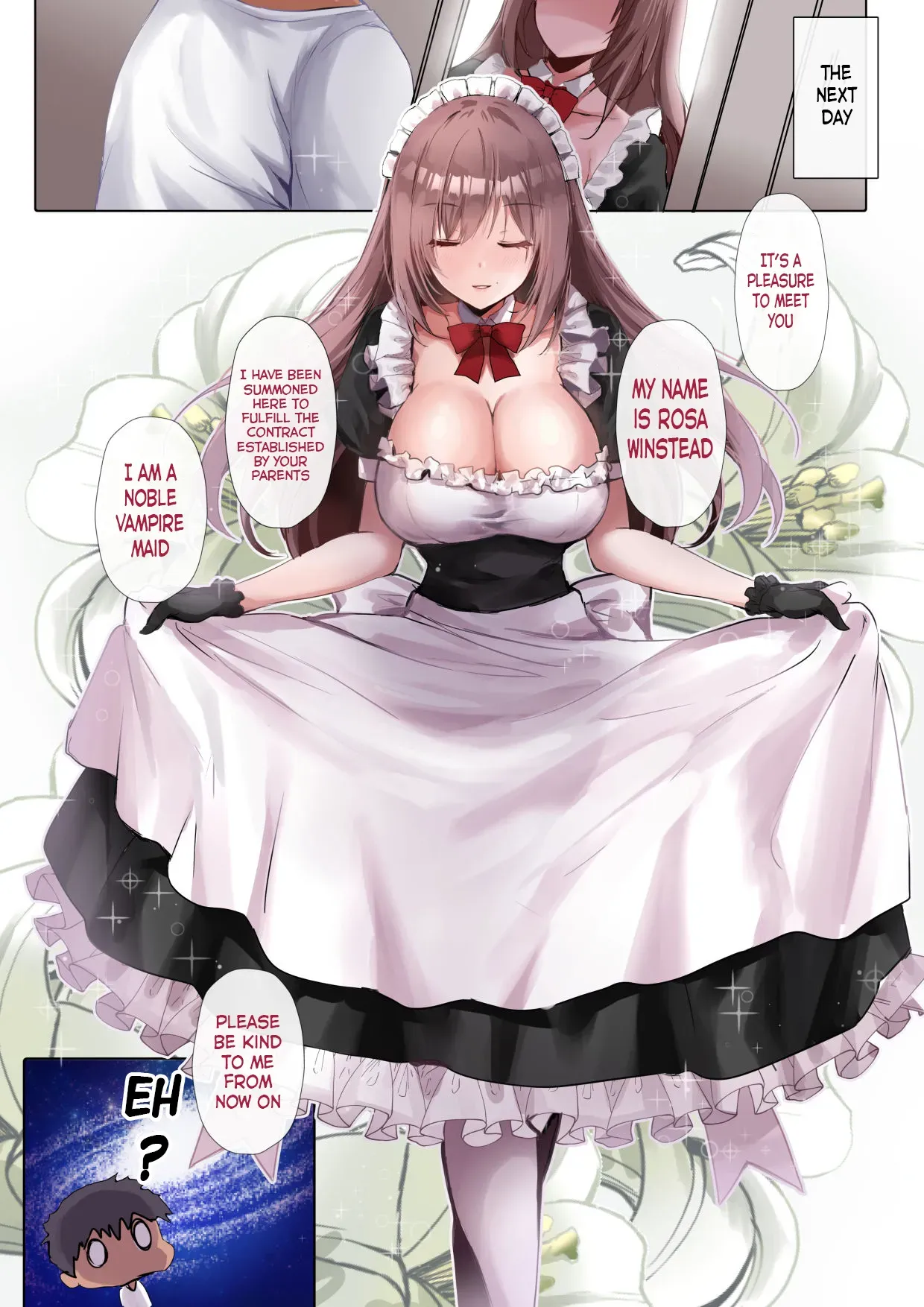 [Kanden Shoujo Chuuihou (Mafuyu)] Do-S na Maid-san wa Osuki desu ka? | Do-S Maid – Do You Like Her? [English] [Digital] - Page 3