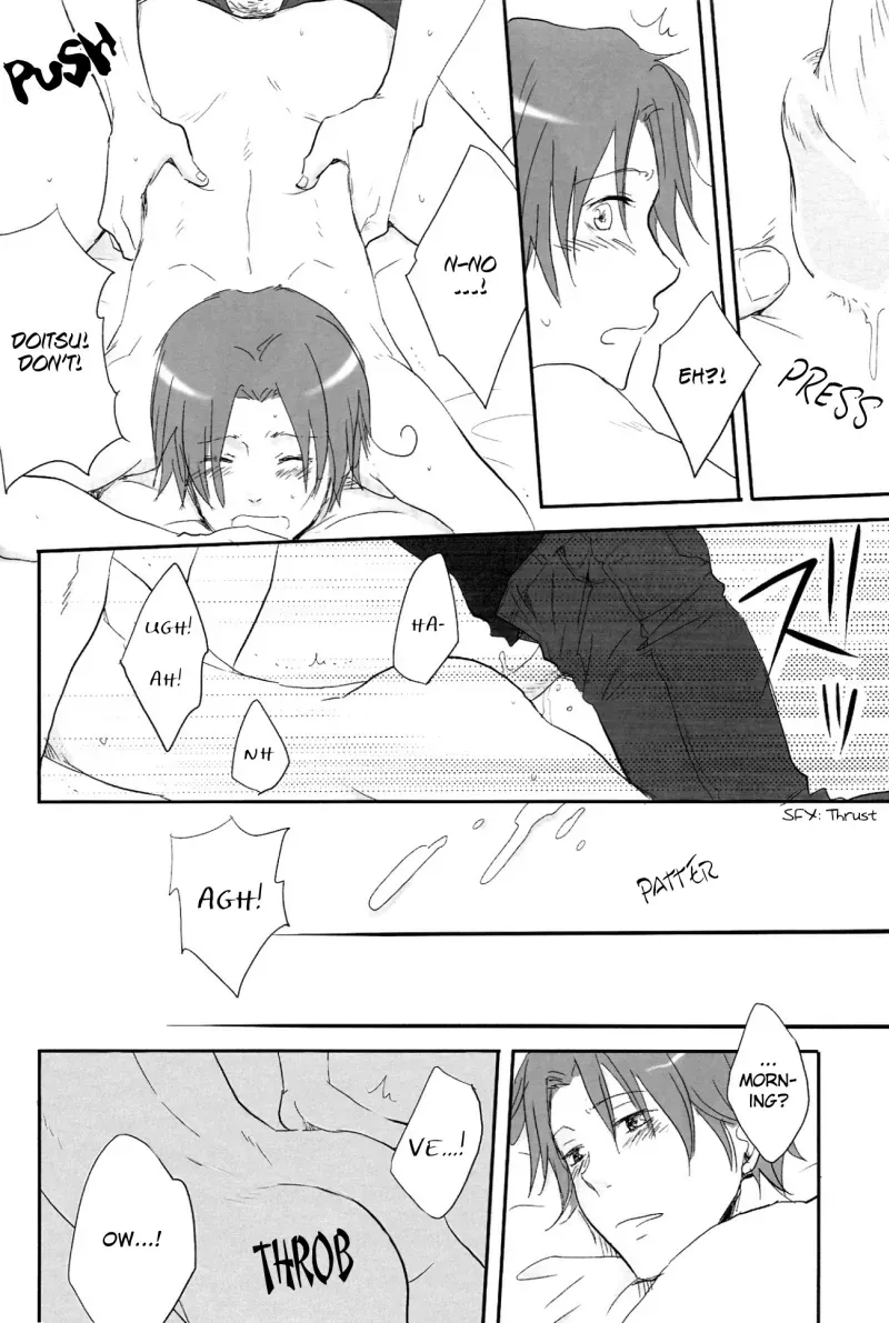 [Nikushoku Shounen (Kozakura Shou)] Kenka no Ato de (Axis Powers Hetalia) [English] - Page 9