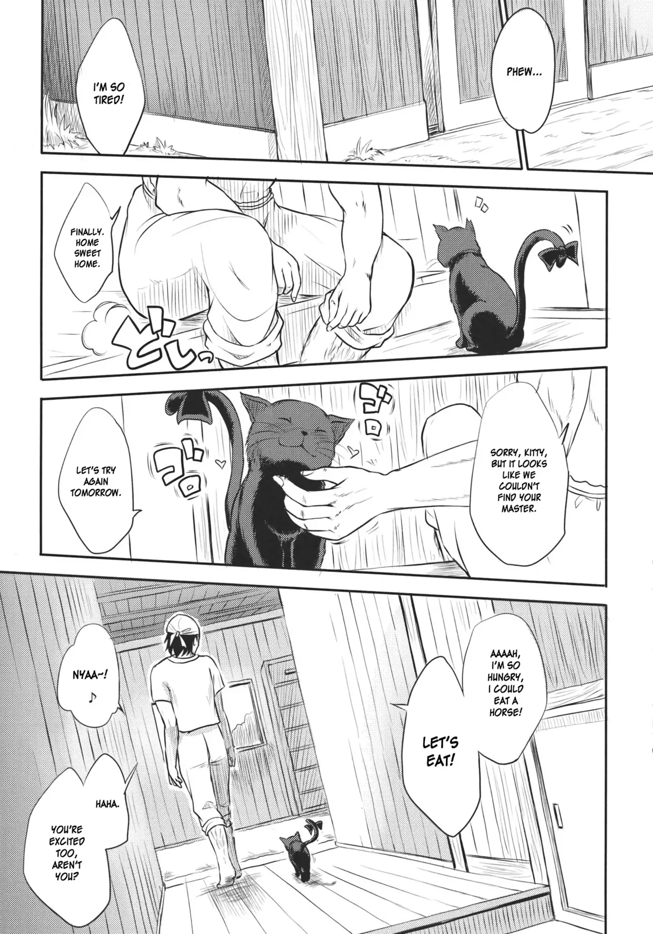 (Reitaisai 8) [Avion Village F (Fechi)] Neko no Kimochi. (Touhou Project) [English] [desudesu] - Page 9