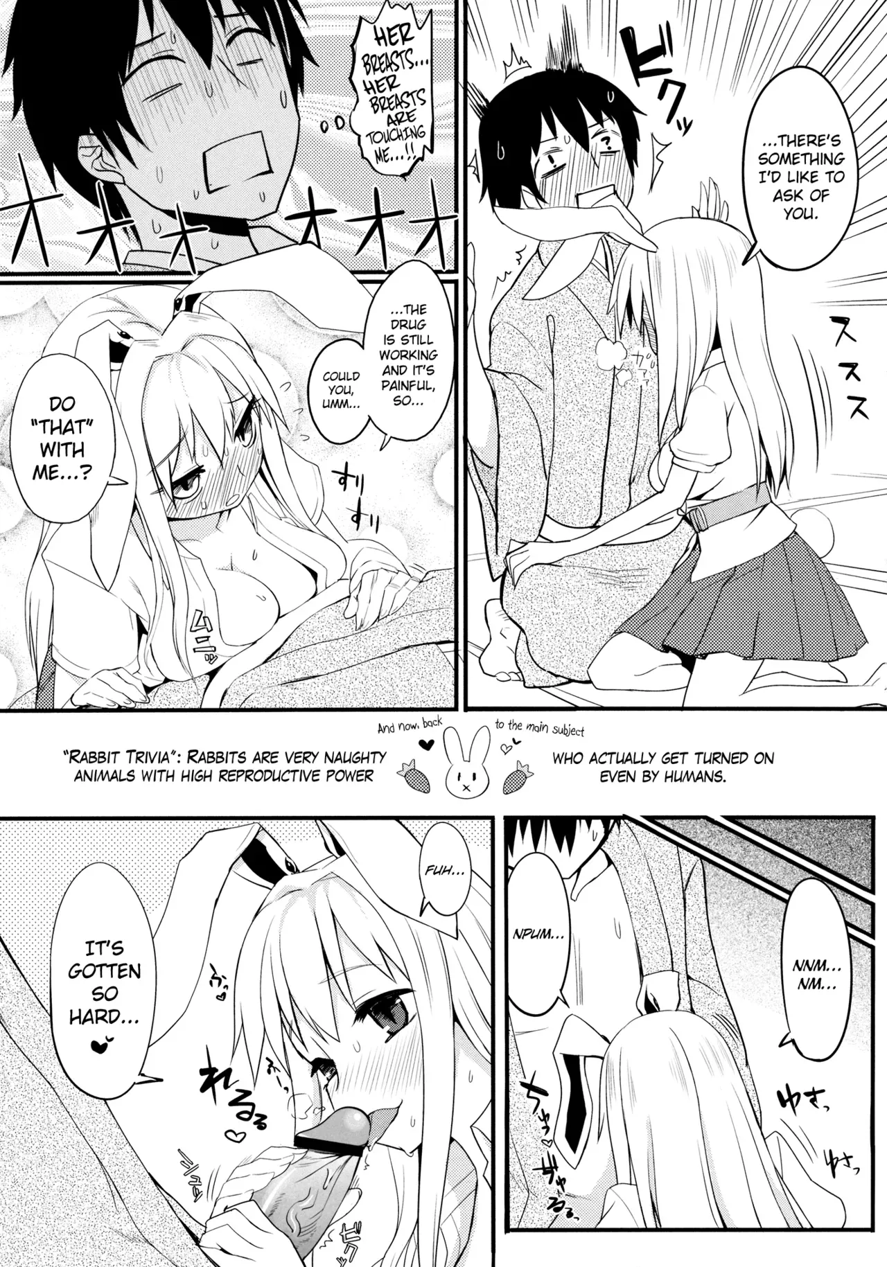 (C82) [Ryokucha Combo (Chameleon)] Usagi no Okusuriyasan (Touhou Project) [English] [biribiri] - Page 9